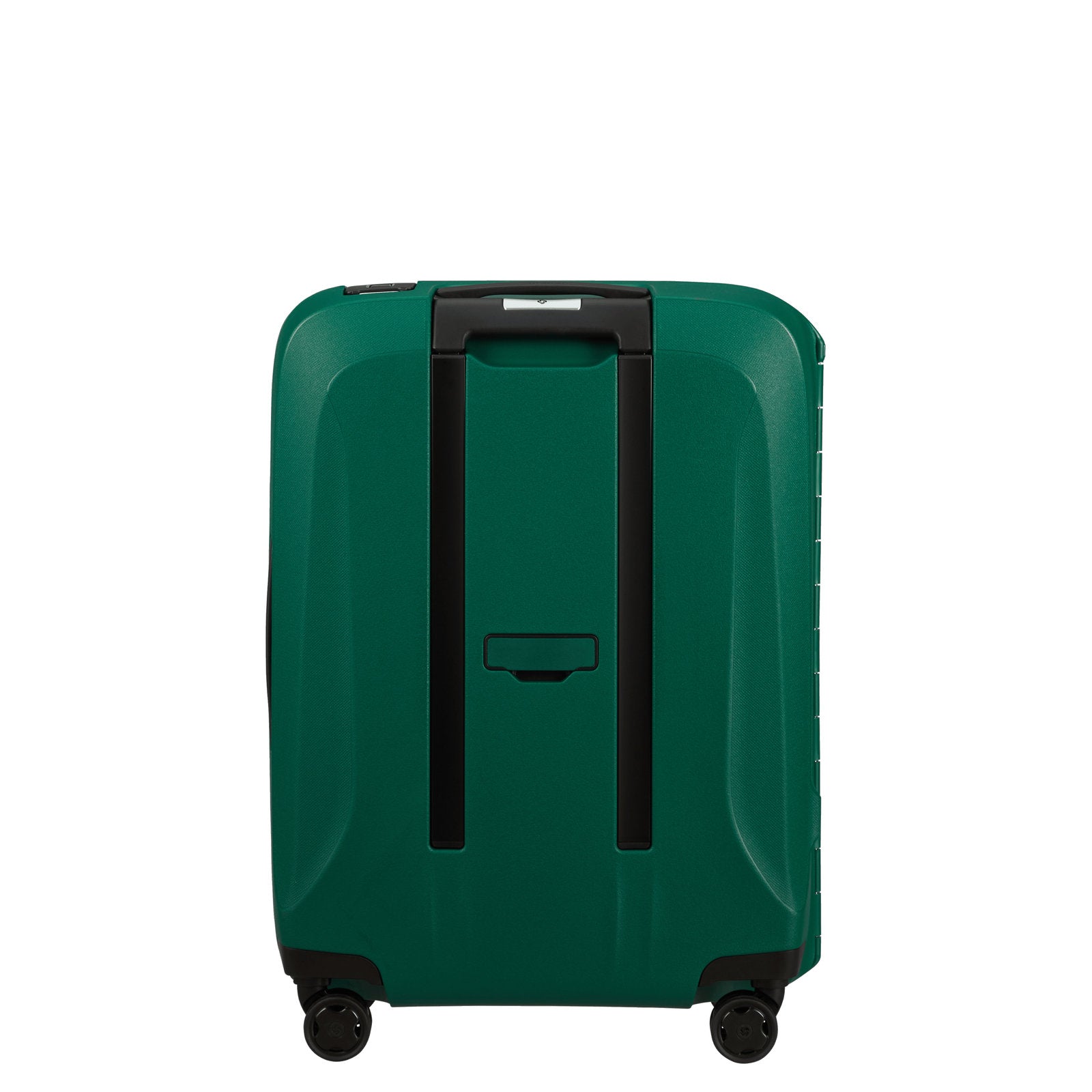 #couleur_vert pin
