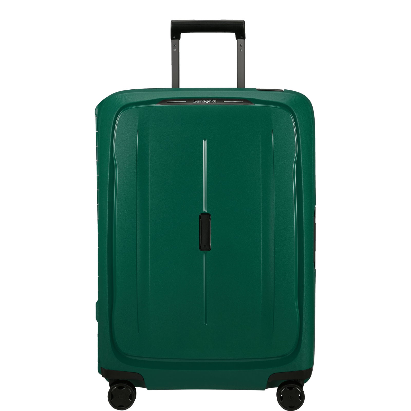 #couleur_vert pin