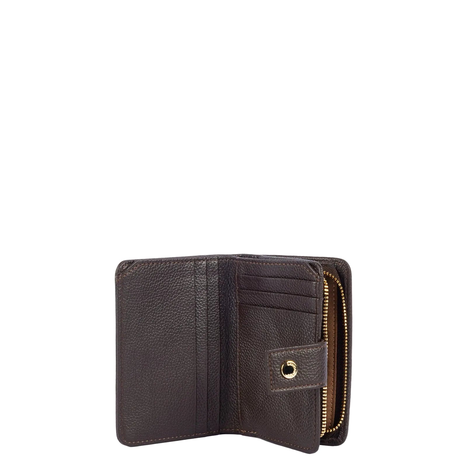 #couleur_marron foncé
