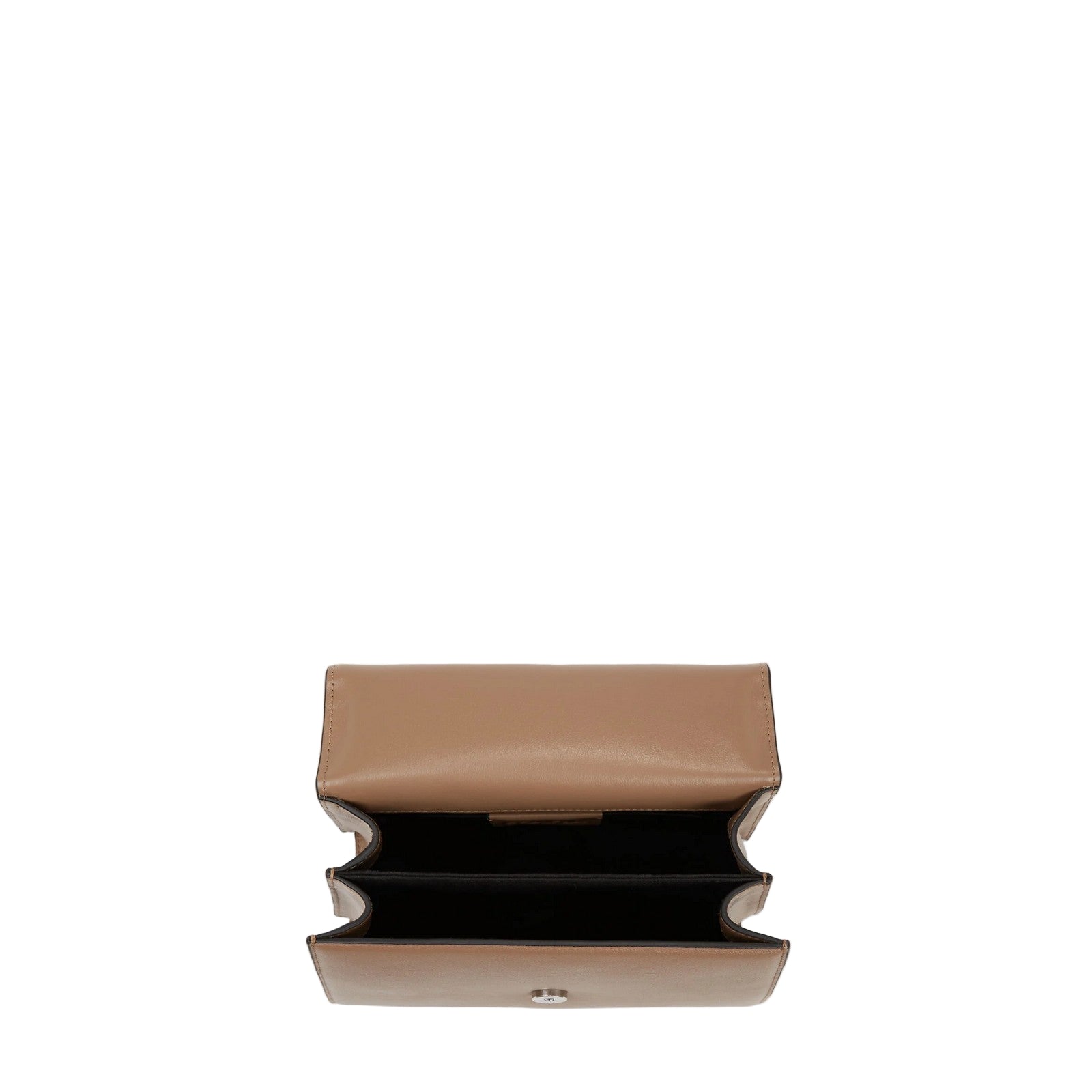 #couleur_marron champignon