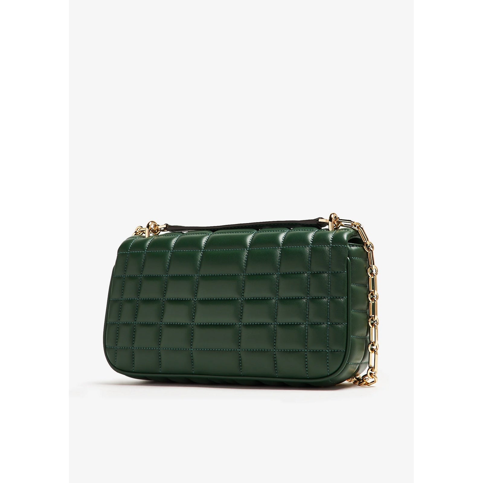 #couleur_vert foncé