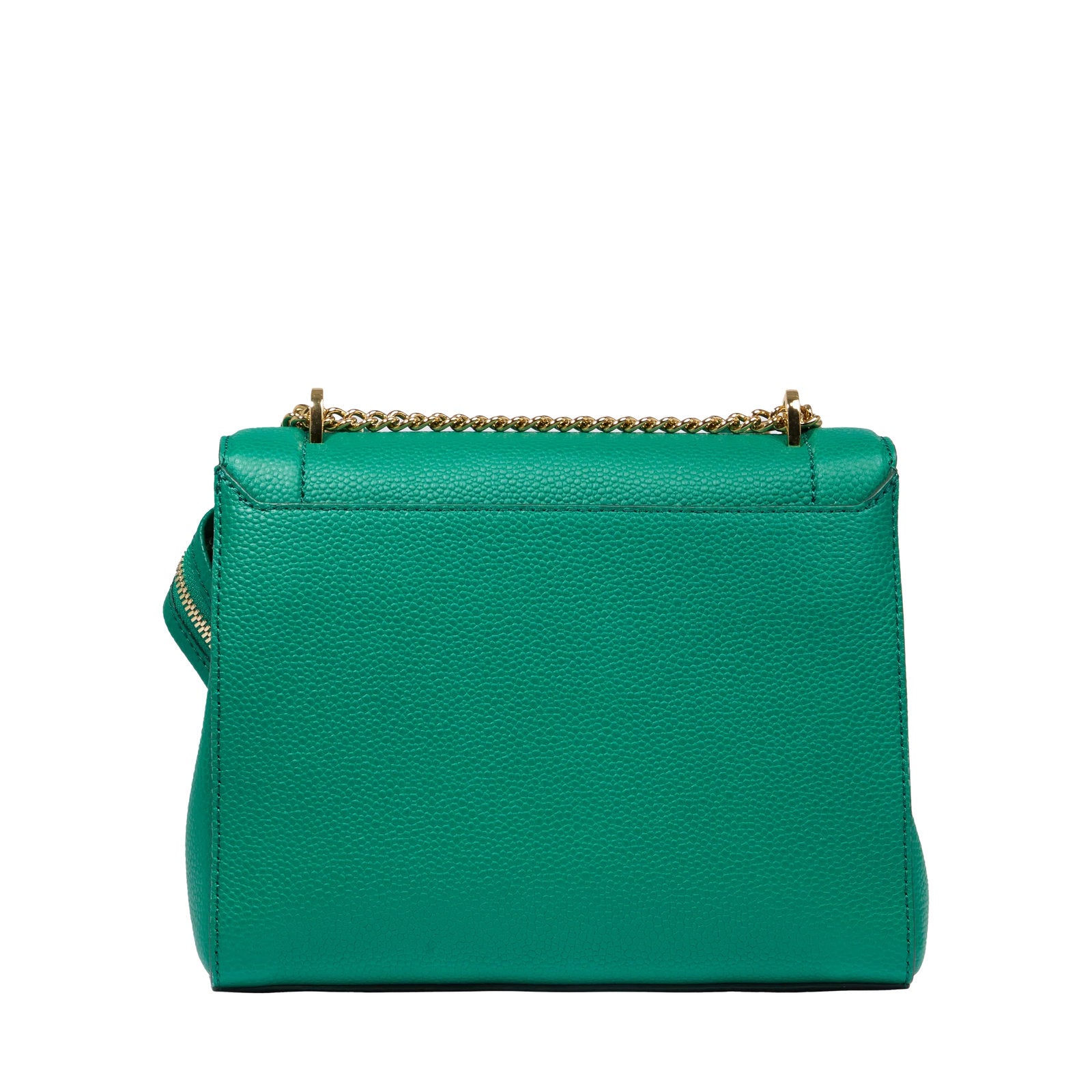 #couleur_vert palmier
