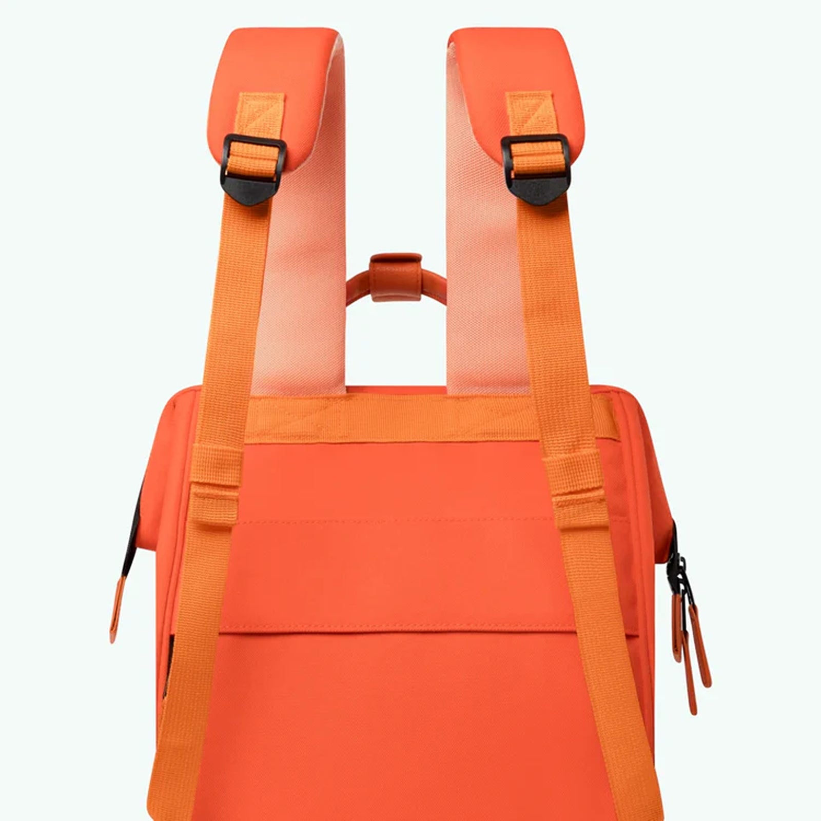 #couleur_alicante (orange)