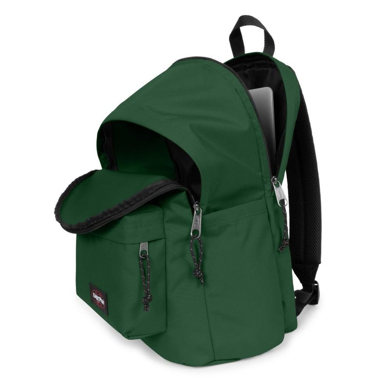 #couleur_vert foncé