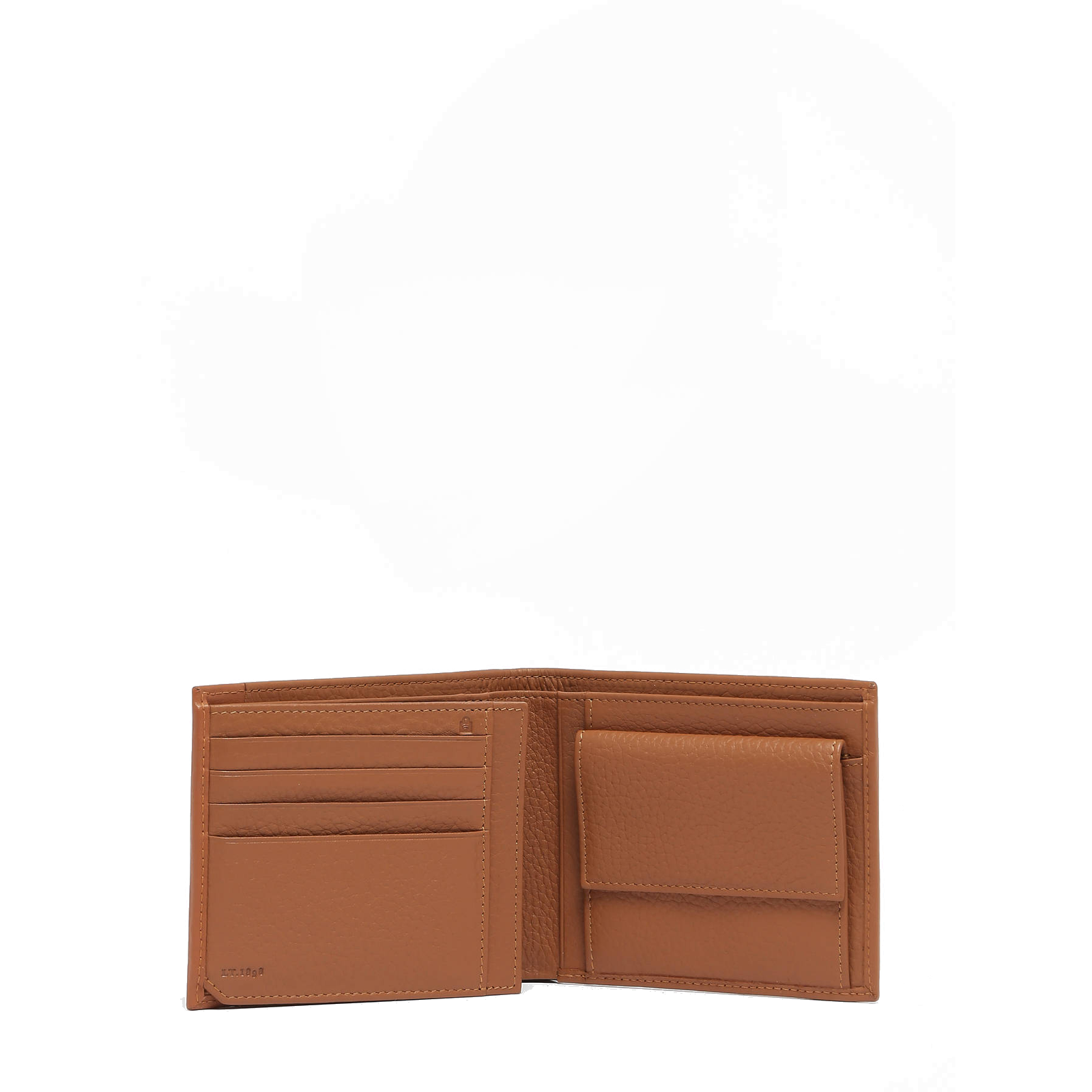 #couleur_marron tan