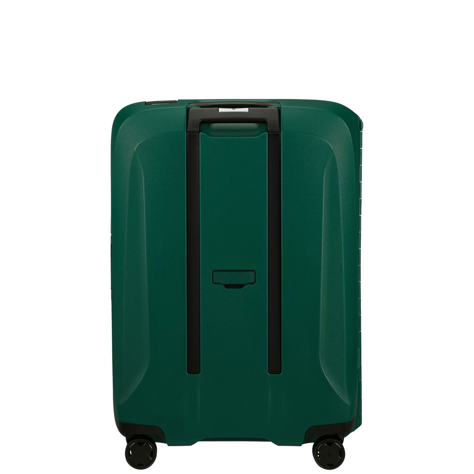 #couleur_vert pin
