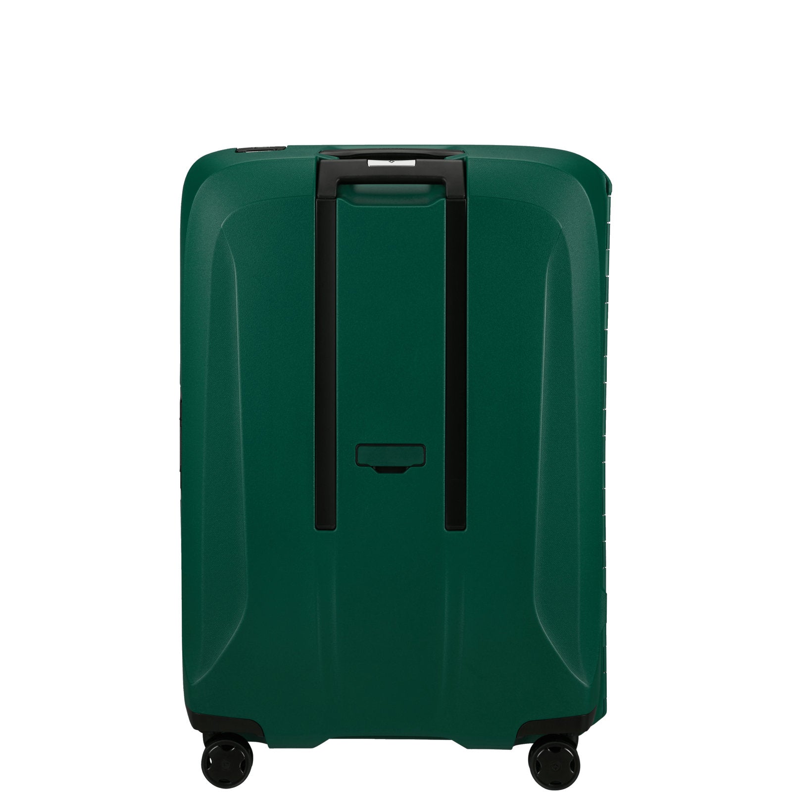 #couleur_vert pin
