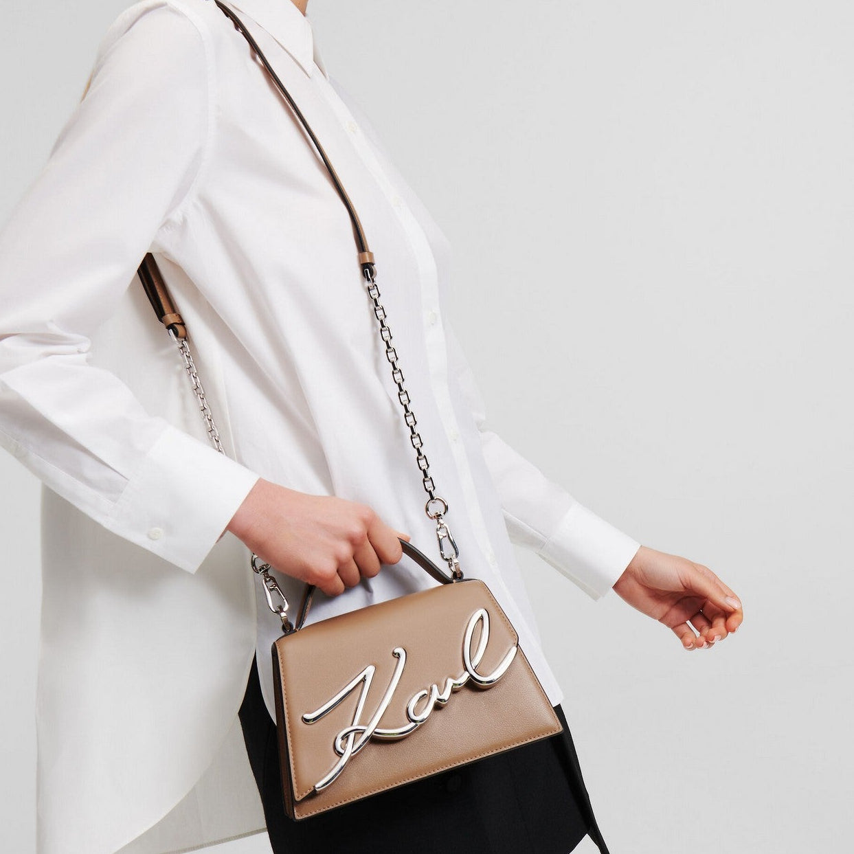 #couleur_marron champignon