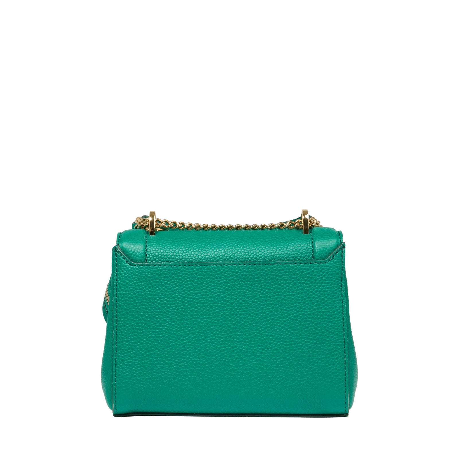 #couleur_vert palmier