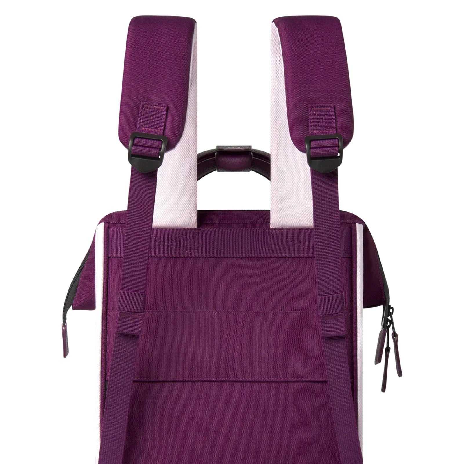 #couleur_kingston (violet)