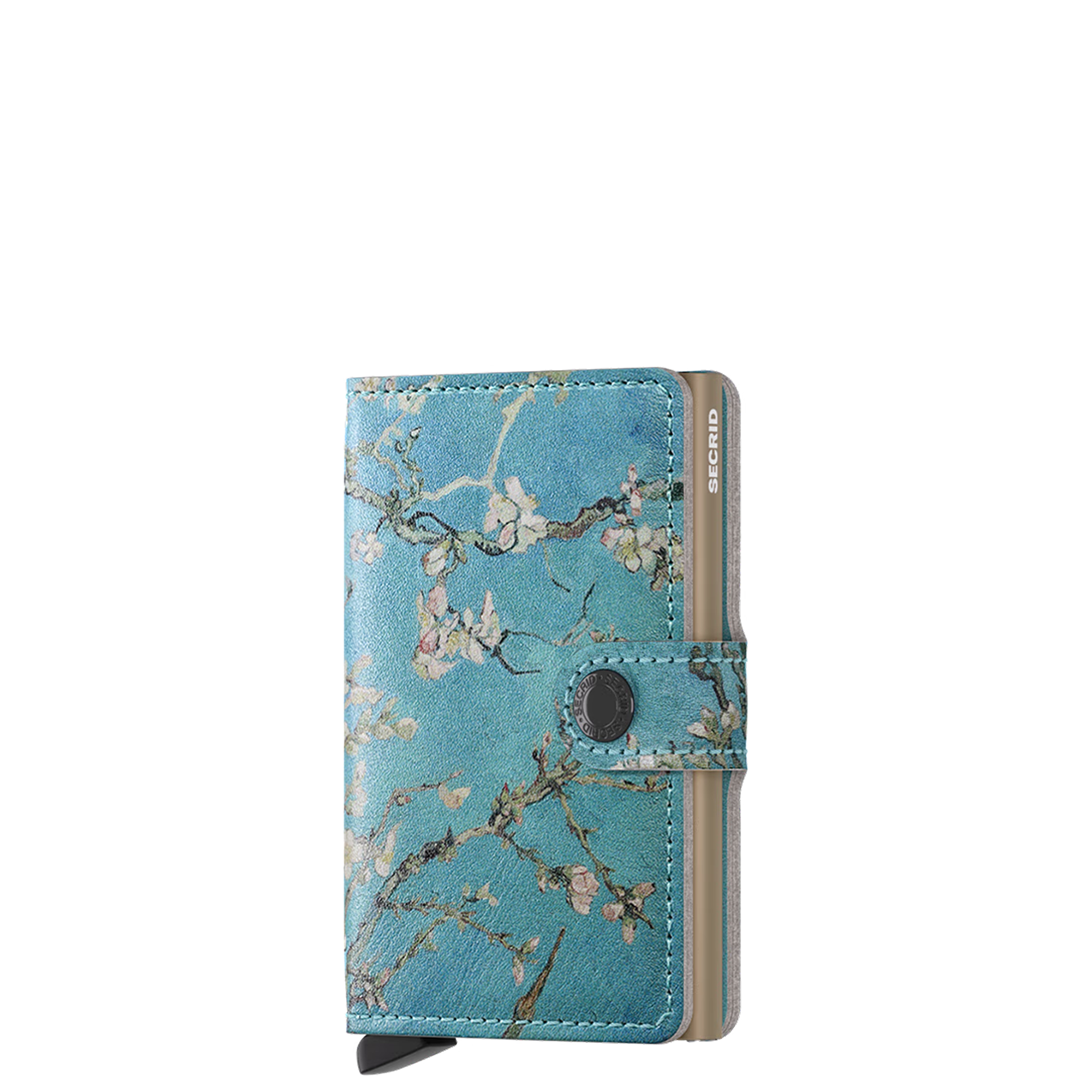 #couleur_bleu multico