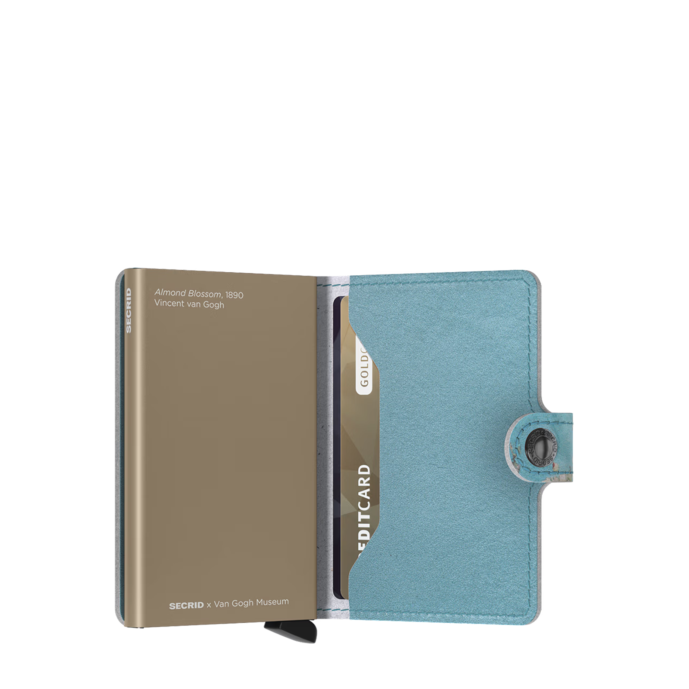 #couleur_bleu multico